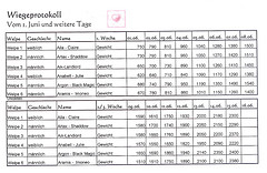 Wiegeprotokoll der ersten Wochen