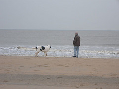 Katwijk, hier lebt Artax und das ist sicher sein Strand