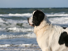 Aik an der Nordsee