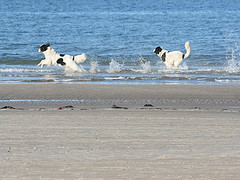 Aik und Mama Djerba in Meer