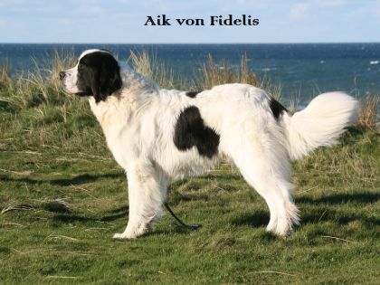 von Fidelis